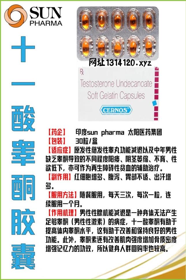 十一酸睾酮软胶囊